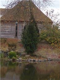 Christmas tree installed at the pond